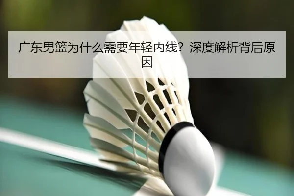 广东男篮为什么需要年轻内线？深度解析背后原因